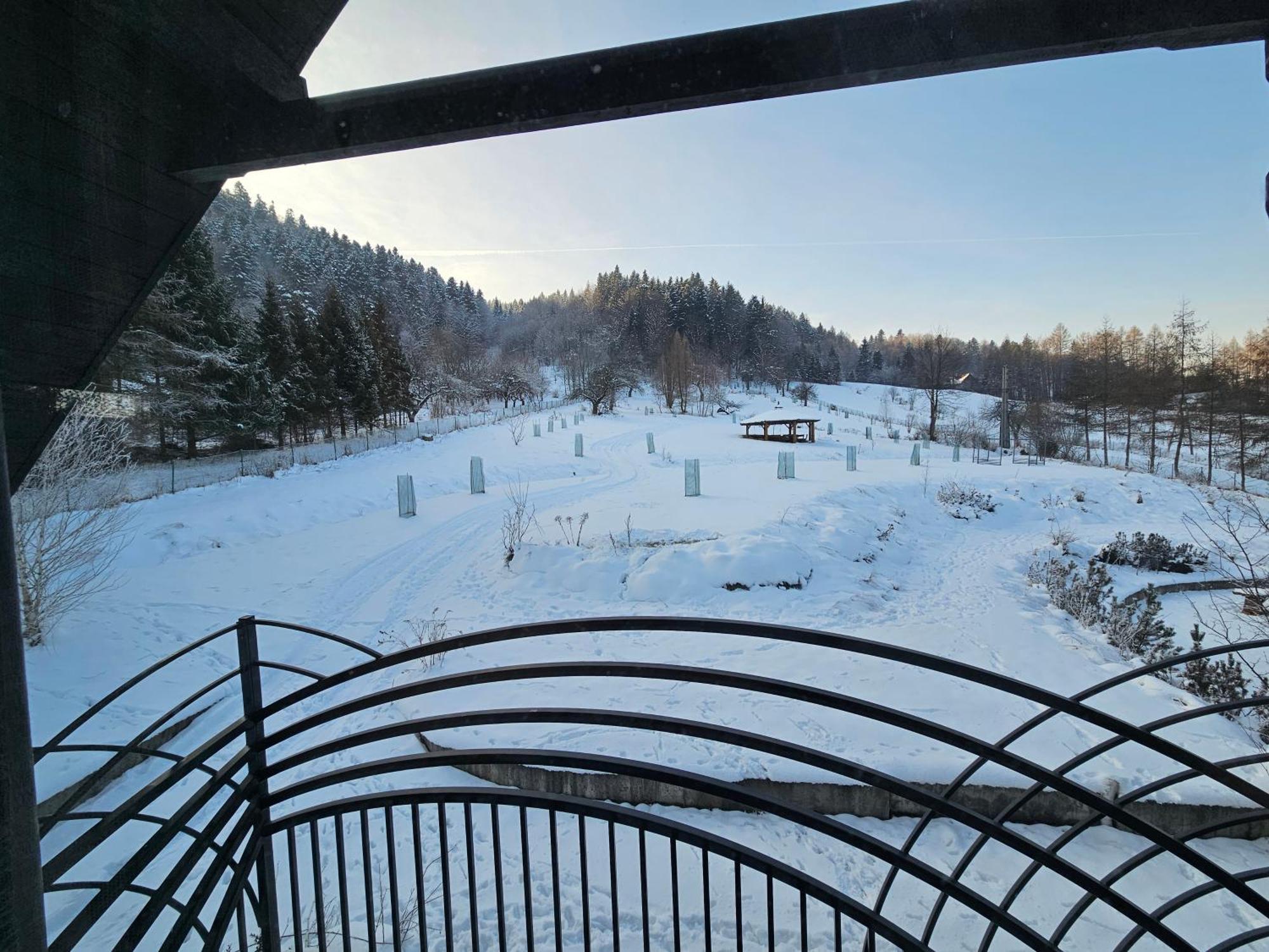 Otulina Park Bed & Breakfast ชซาฟนีซา ภายนอก รูปภาพ